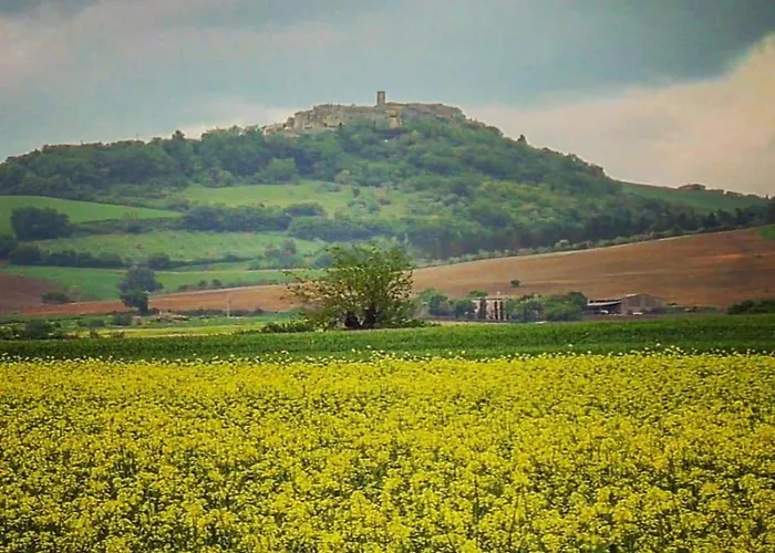 Lägenhet Tuscan Escape For Families Casole dʼElsa